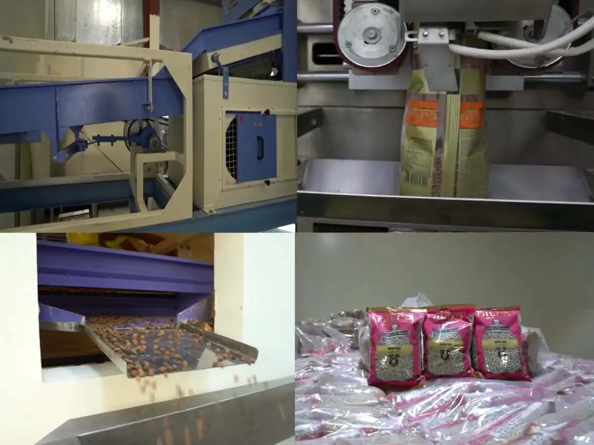 Packing line at our Ras Al Khor unit